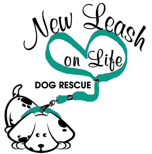 new leash on life dogs