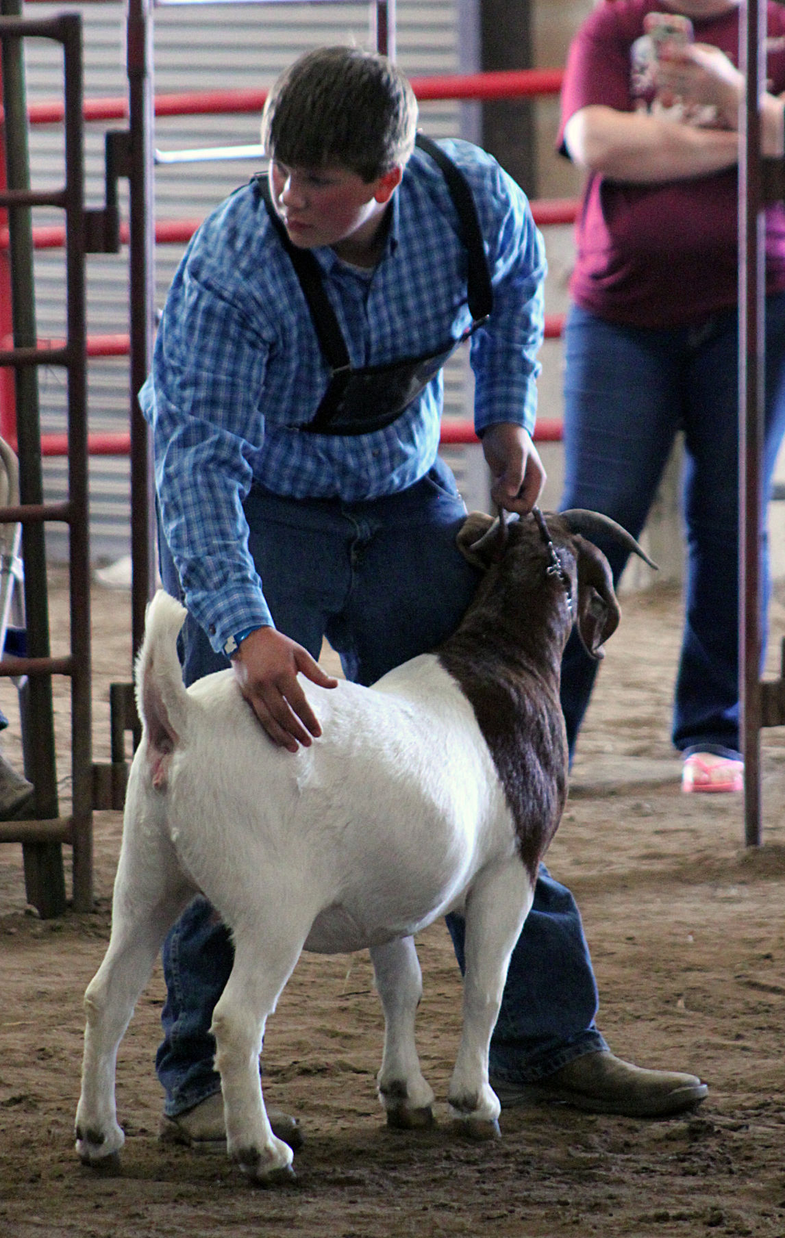 Scenes from the 2017 Jackson County Fair