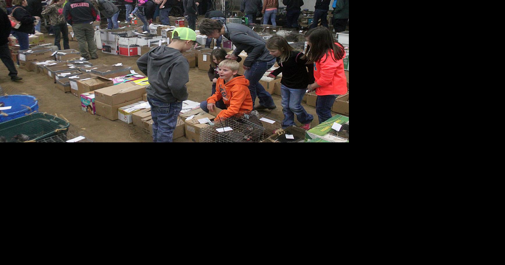 Small Animal Auction continues to get larger