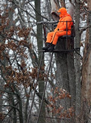 Hunter tree stand falls likely to cause spinal fractures, UW study says