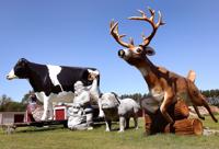 Hometown Icon: FAST Corp.