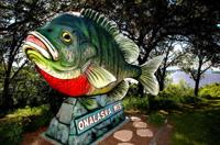 Hometown Icon: Onalaska's Giant Sunfish