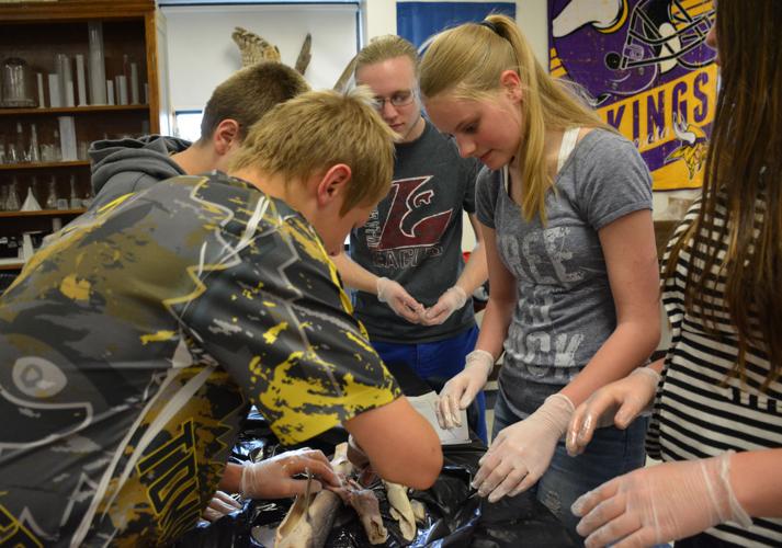 Middle school students tackle advanced biology − with shark ...