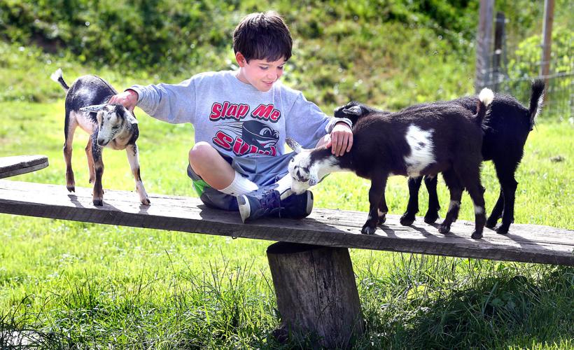 Summer Break Escape to Rainbow Ridge Farm Camp