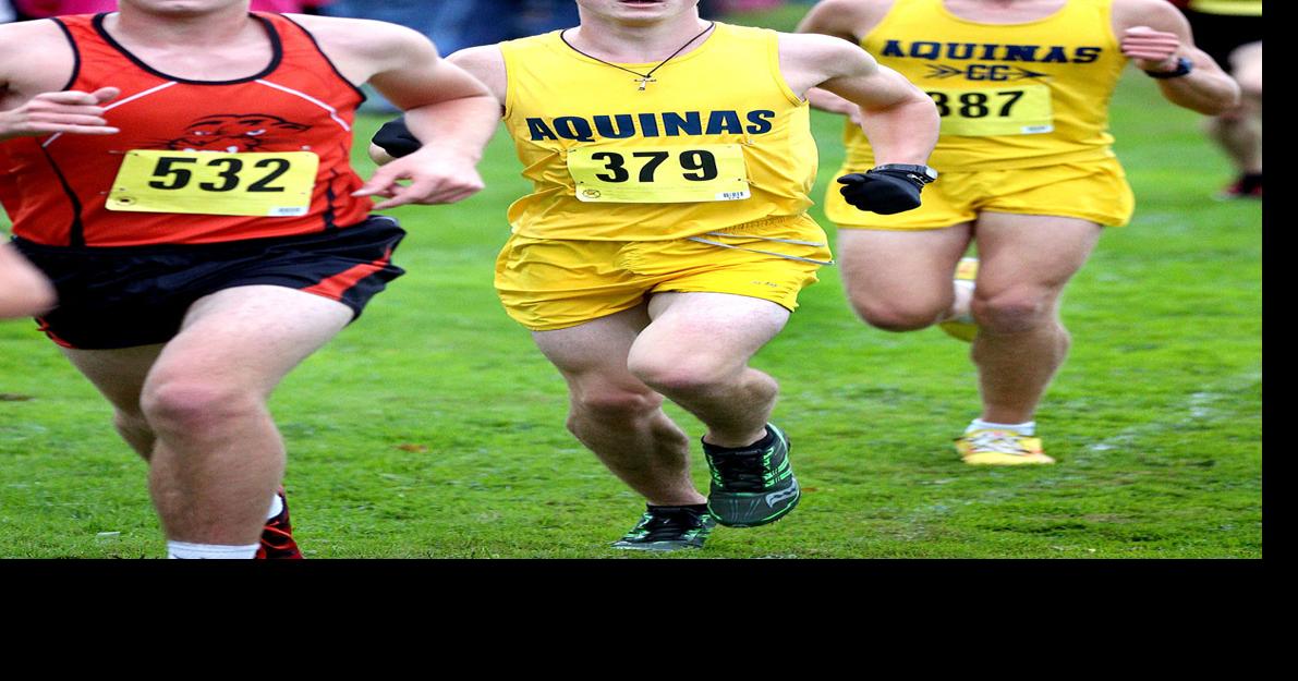 High school cross country Onalaska, Cashton host meets Saturday
