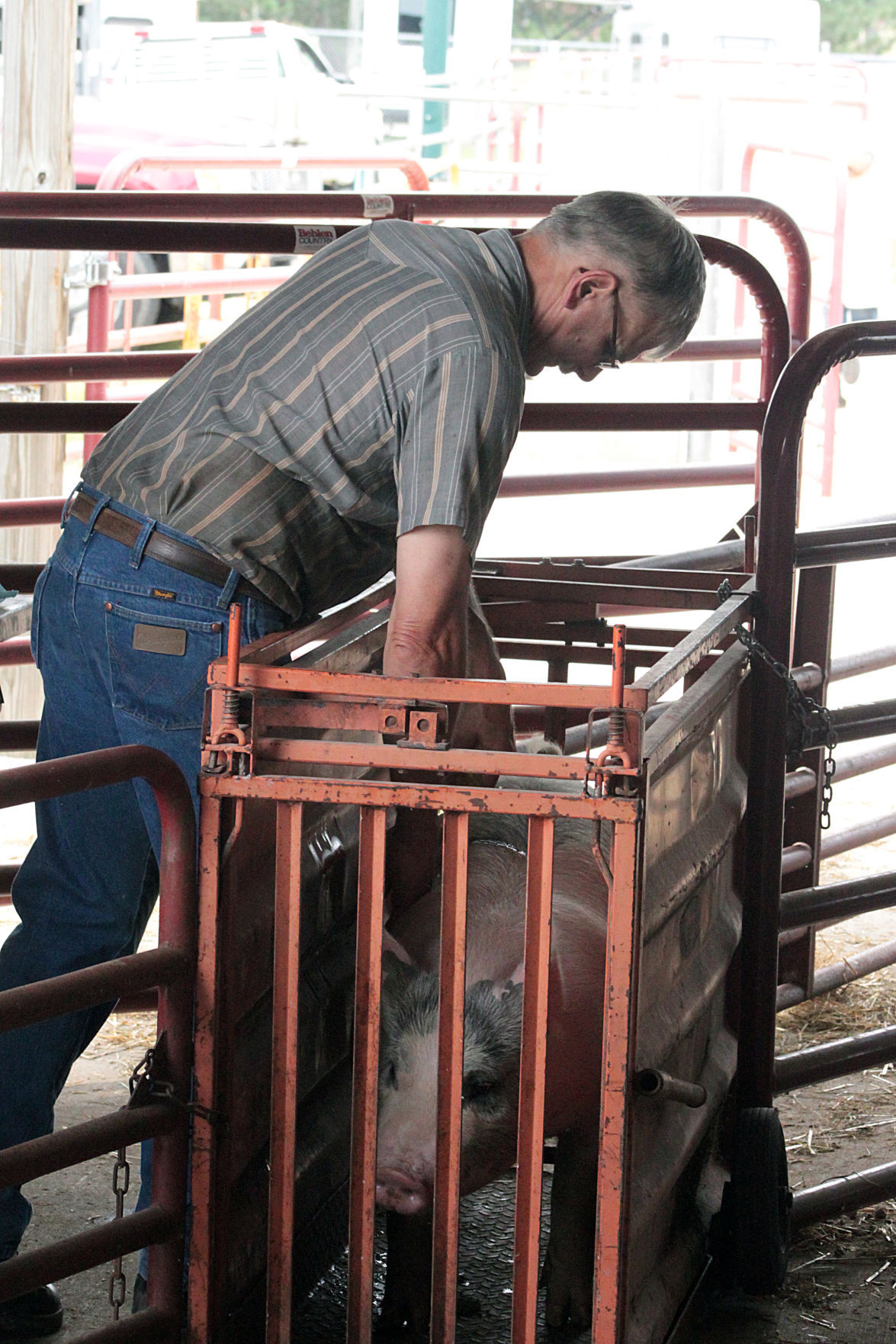 Scenes from the 2017 Jackson County Fair