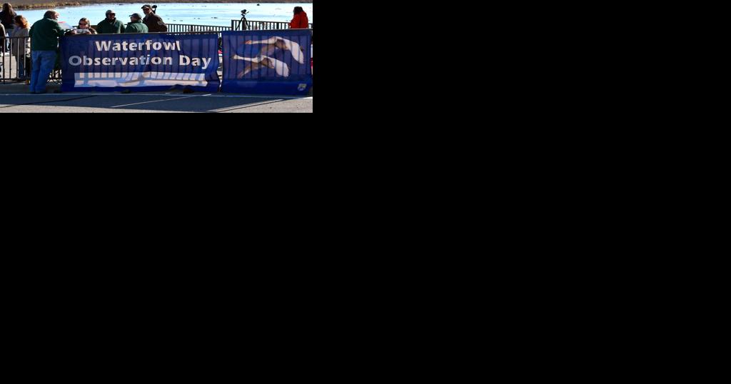 Waterfowl Observation Day at Brownsville overlook Nov. 11 - Vimarsana News
