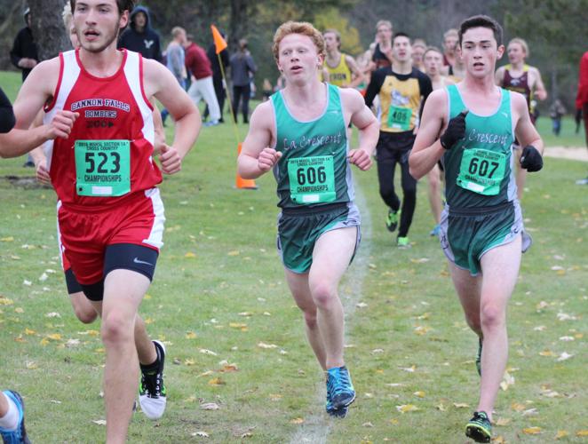 MSHSL state cross country: Winona and Lewiston-Altura/Rushford-Peterson  continue streaks