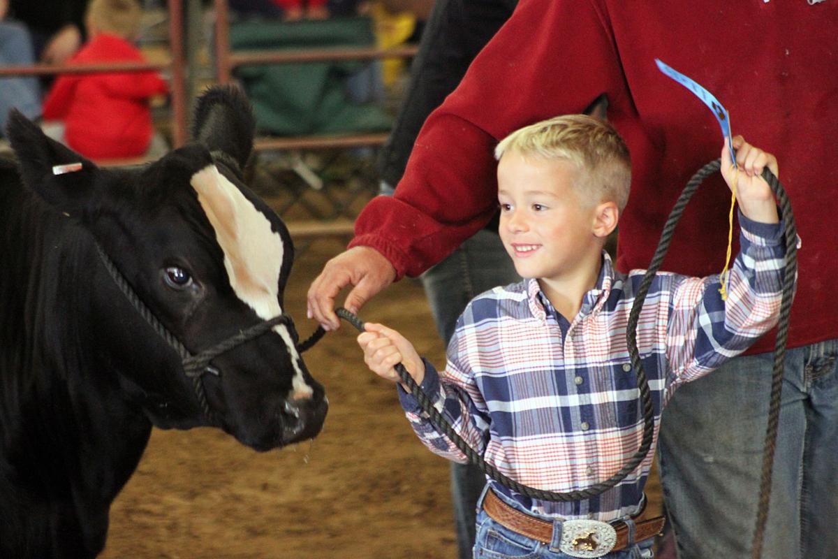 Scenes from the 2017 Jackson County Fair