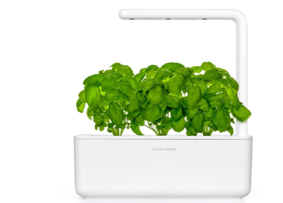 Planter