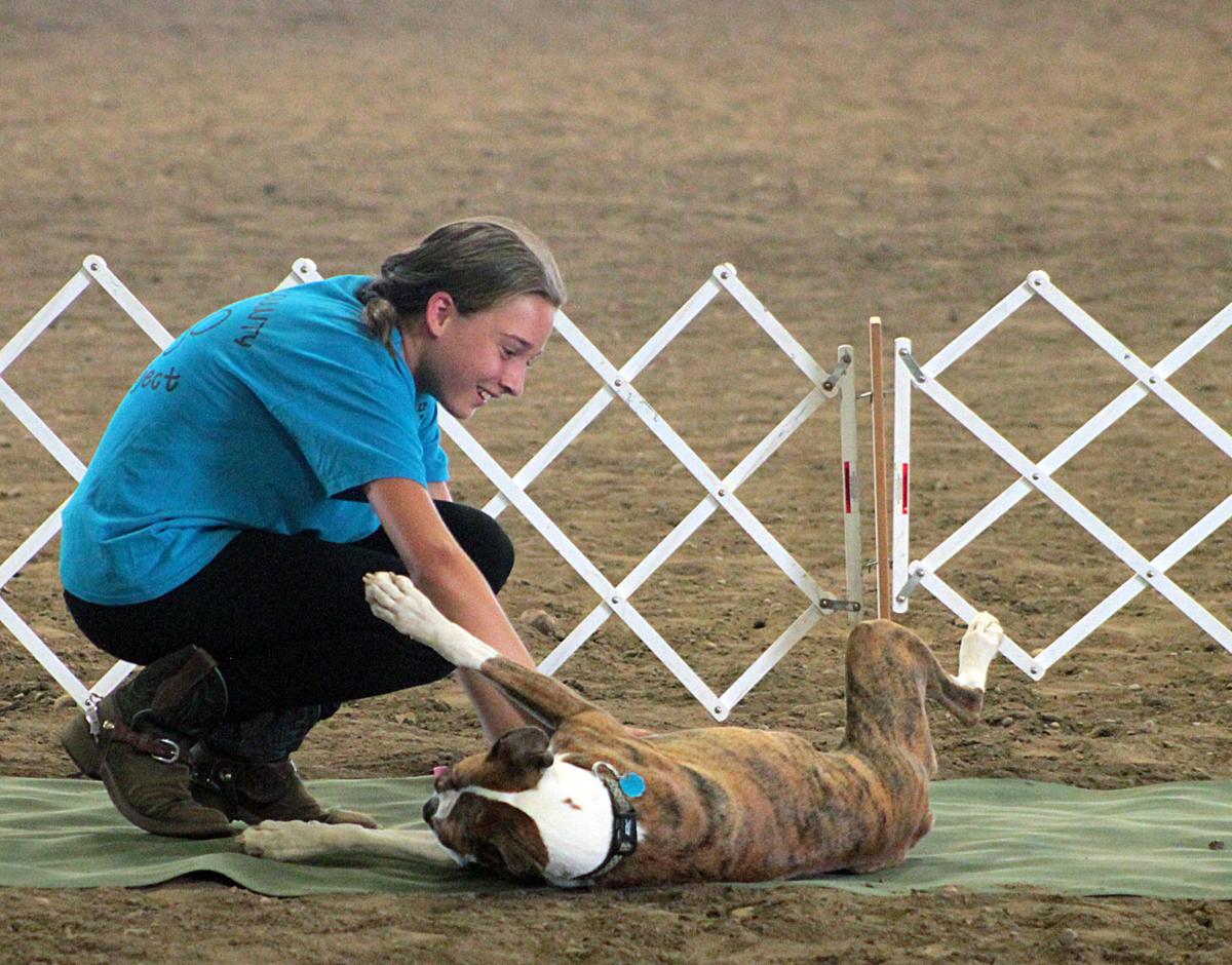 Scenes from the 2017 Jackson County Fair