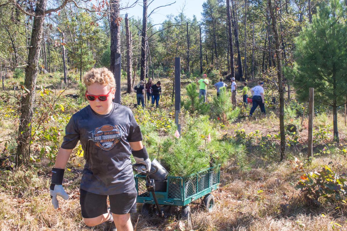 Bangor FFA service project pays dividends | Couleecourier ...