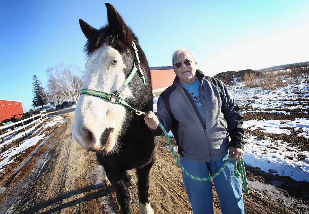 Creating a place for veterans to work with horses Local News