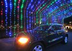 Rotary Lights opens