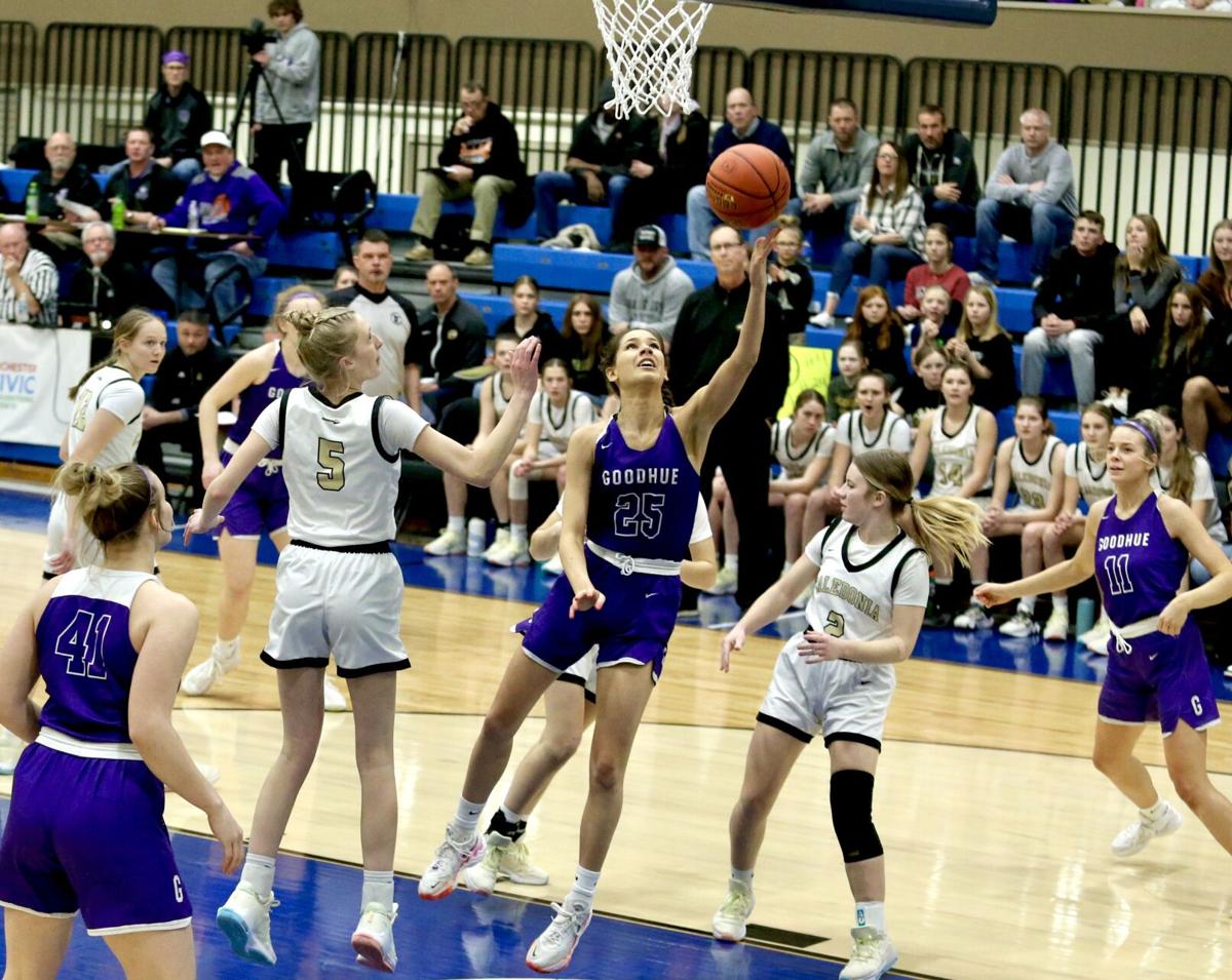 IN PHOTOS Warriors Unable to Get Past Wildcats in Section 1AA Championship