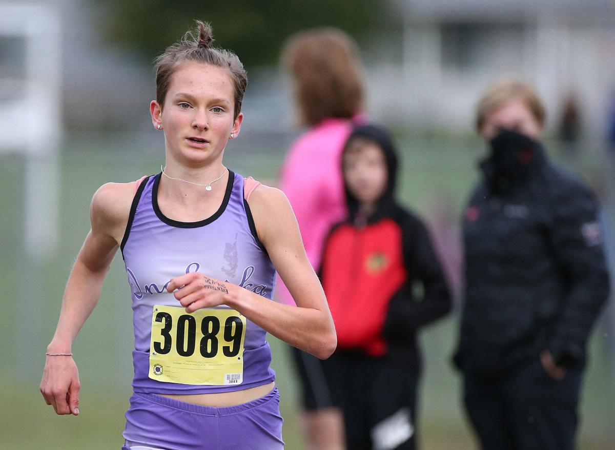 Wiaa Cross Country Coulee Region Will Be Well Represented At Saturday S Sectionals Preps Lacrossetribune Com