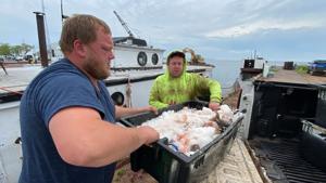 Watch now: Red Cliff Fish Company a 'game-changer' for tribal fishermen in Bayfield County