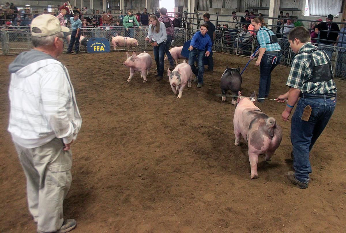 Scenes from the 2017 Jackson County Fair
