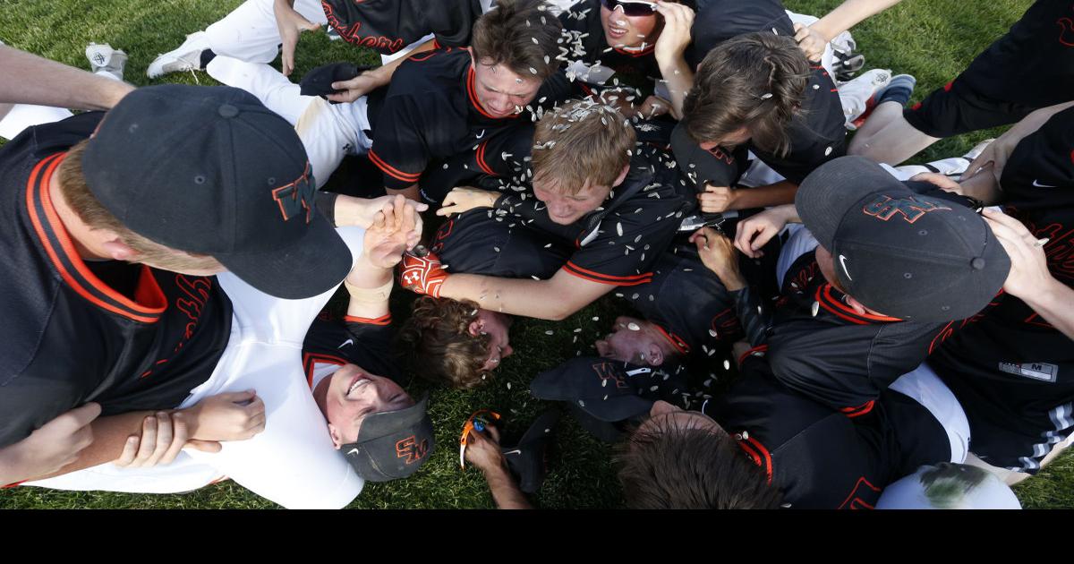 Panthers back in WIAA state baseball tournament