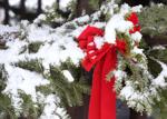 Picture perfect snow