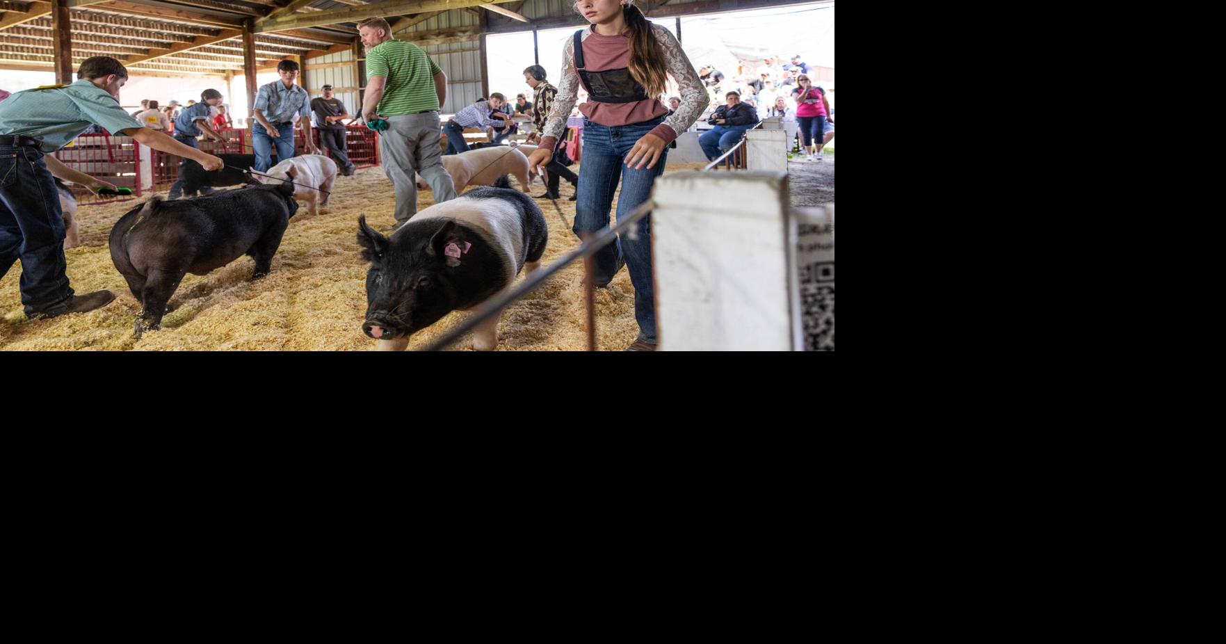 Interstate Fair kicks off in West Salem (Copy)