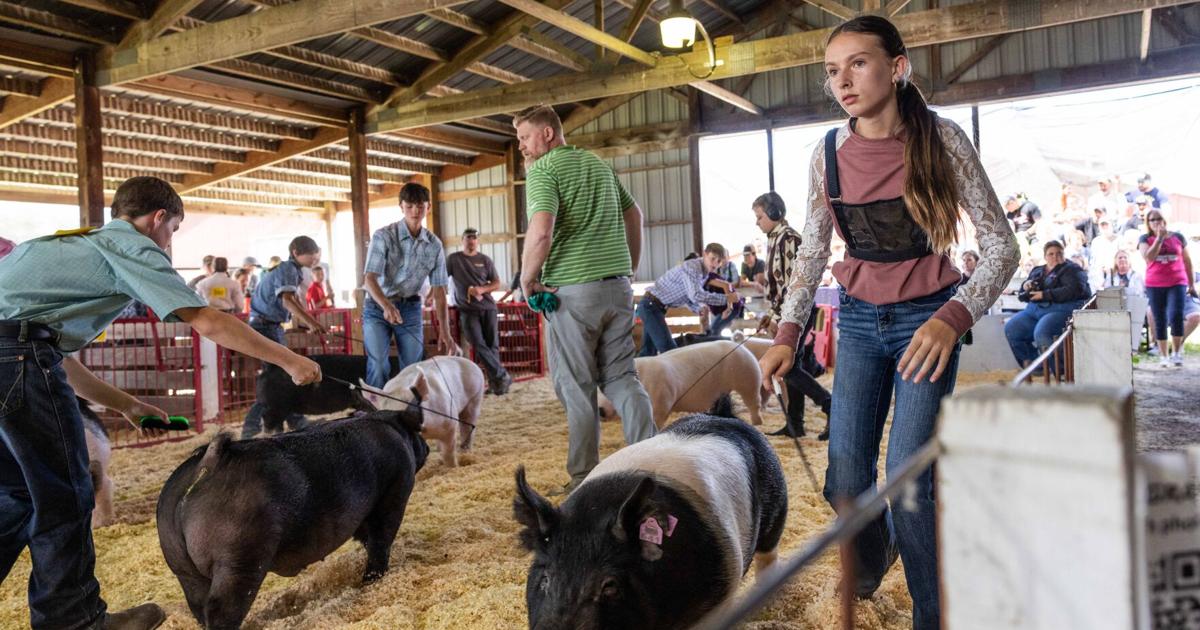 Interstate Fair kicks off in West Salem (Copy)