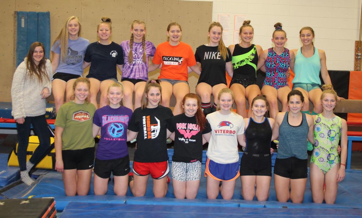 Viroqua area cooperative gymnastics team 2019-2020