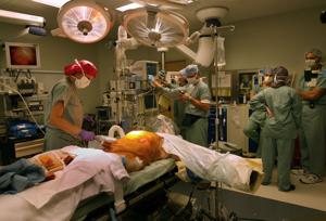 In a turf battle for organs, a policy review rattles the national transplant system