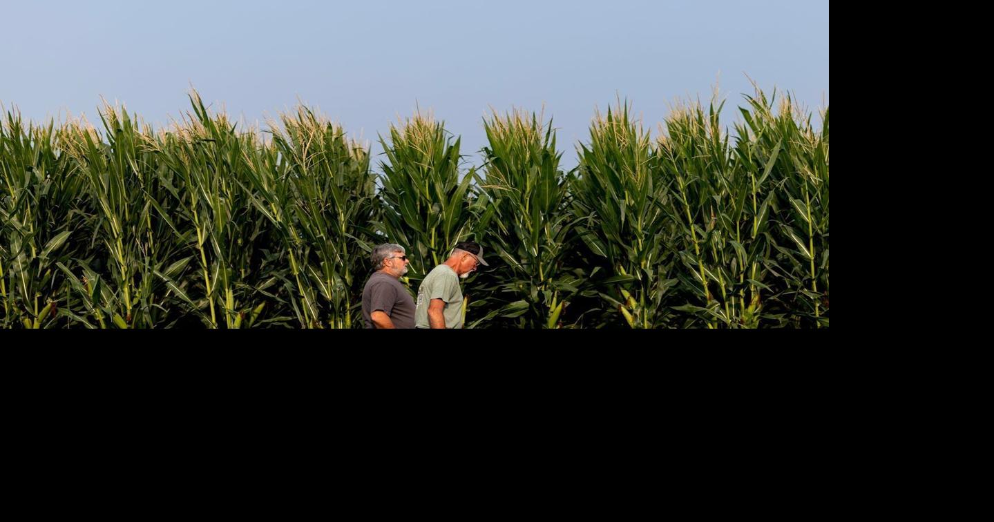 CHS to build one of America's first phosphate fertilizer plants in decades amid global disruptions