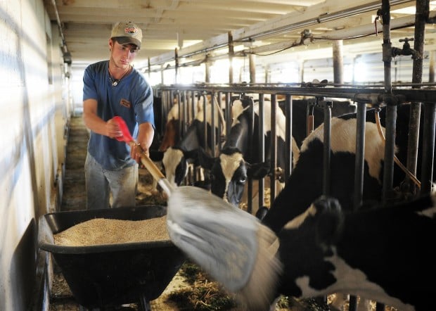 La Crosse County farm to host dairy breakfast