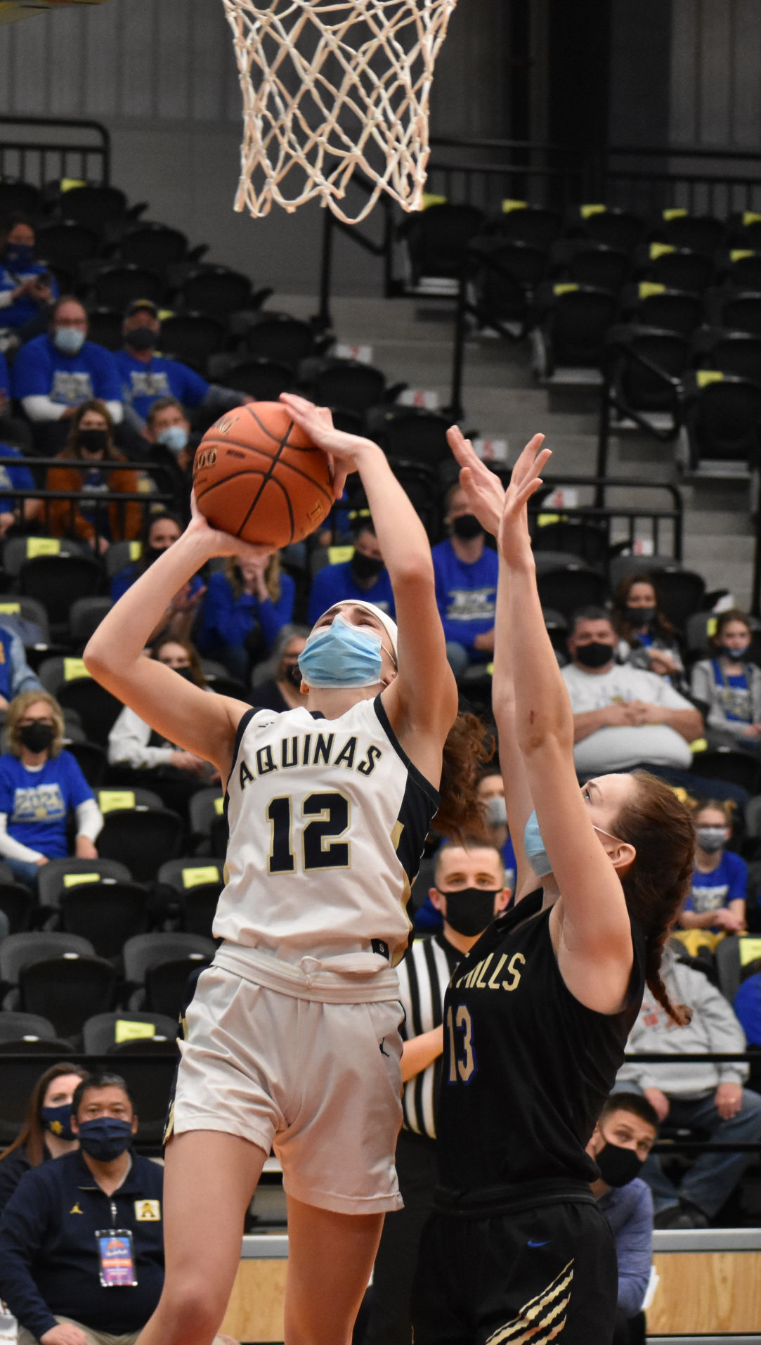 WIAA Girls Basketball: La Crosse Aquinas Falls To Lake Mills In ...