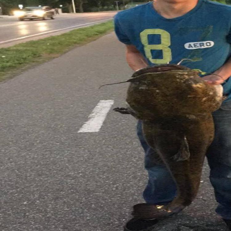 Teen Catches 48 Pound Catfish In Lake Winona Local News Lacrossetribune Com