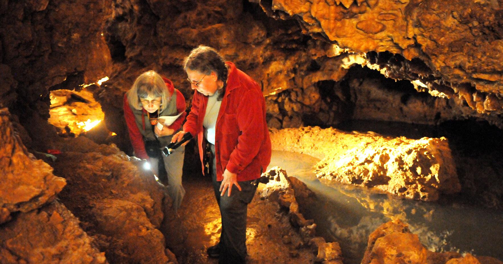 Guided tours at Kickapoo Caverns nature preserve hosted by Mississippi Valley Conservancy - Vimarsana News