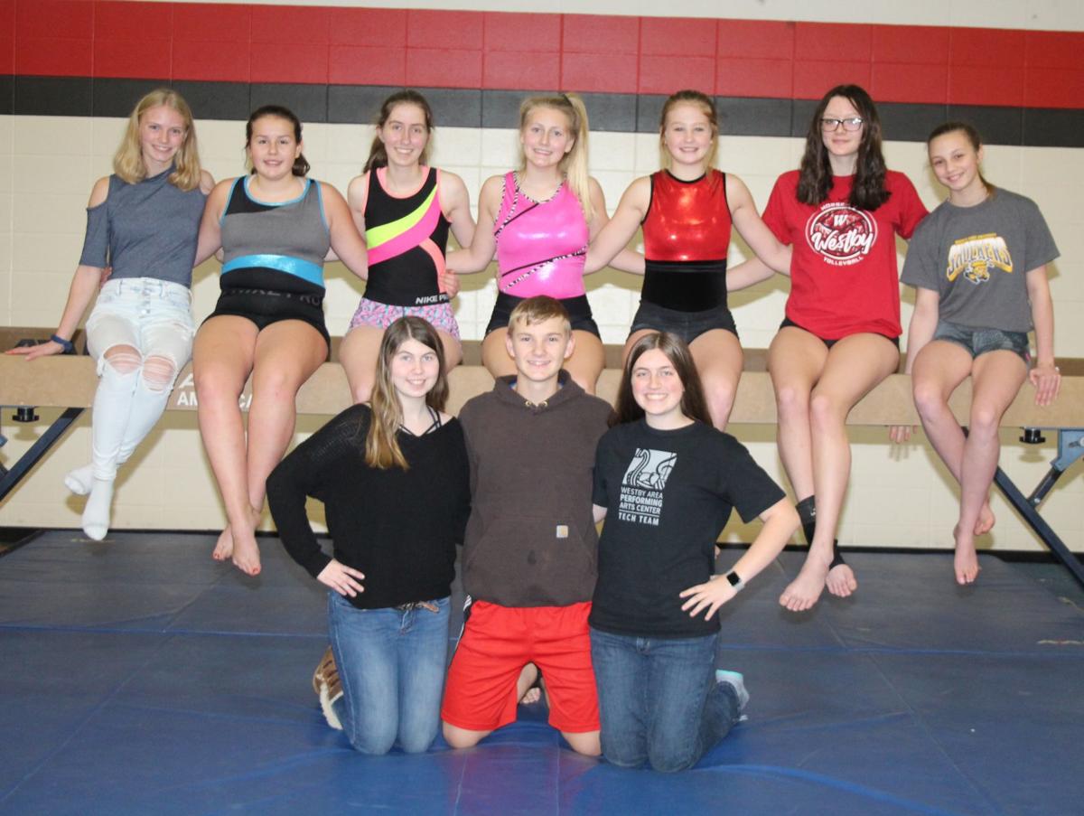 Westby High School gymnastics team 2019-2020