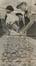 Happy Joe's Pizza and Ice Cream Parlor