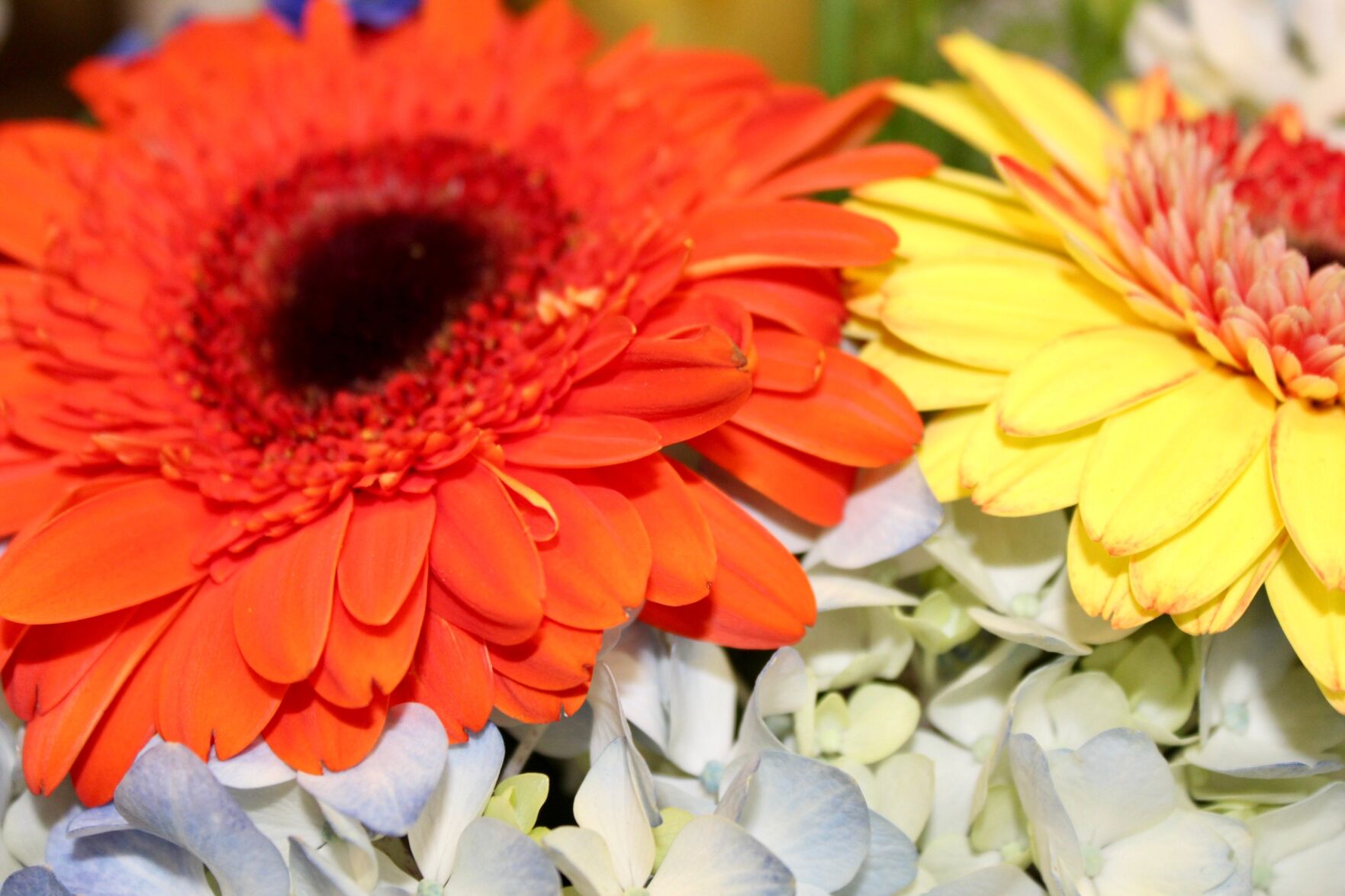 Making the cut Chippewa Falls small business owner talks about flower shop and Easter