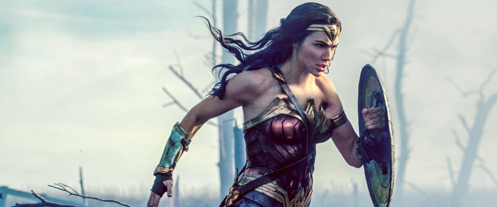 wonder woman cast wonder woman cast