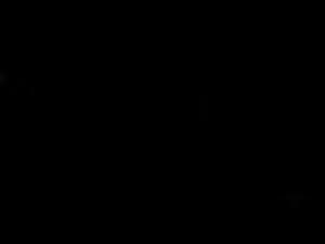 Fat Cat Club Not Afraid Of Large Catfish Outdoors Lacrossetribune Com