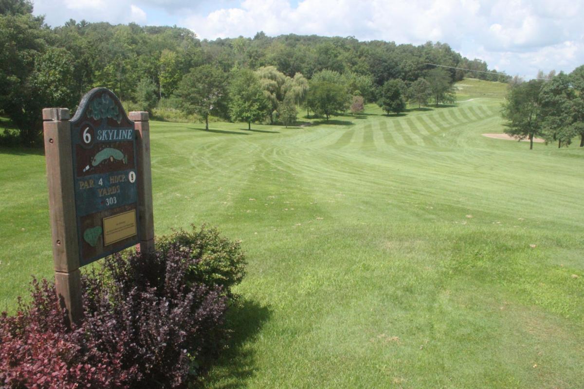 BRF working on final touches to ATC power line easement Local