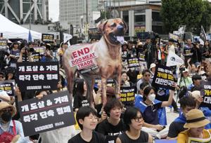 South Korea's parliament passes landmark ban on production and sales of dog meat