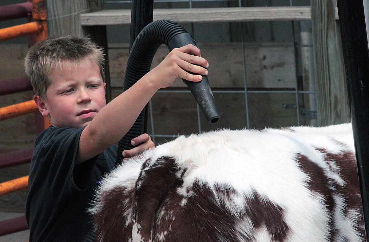 Scenes from the 2017 Jackson County Fair