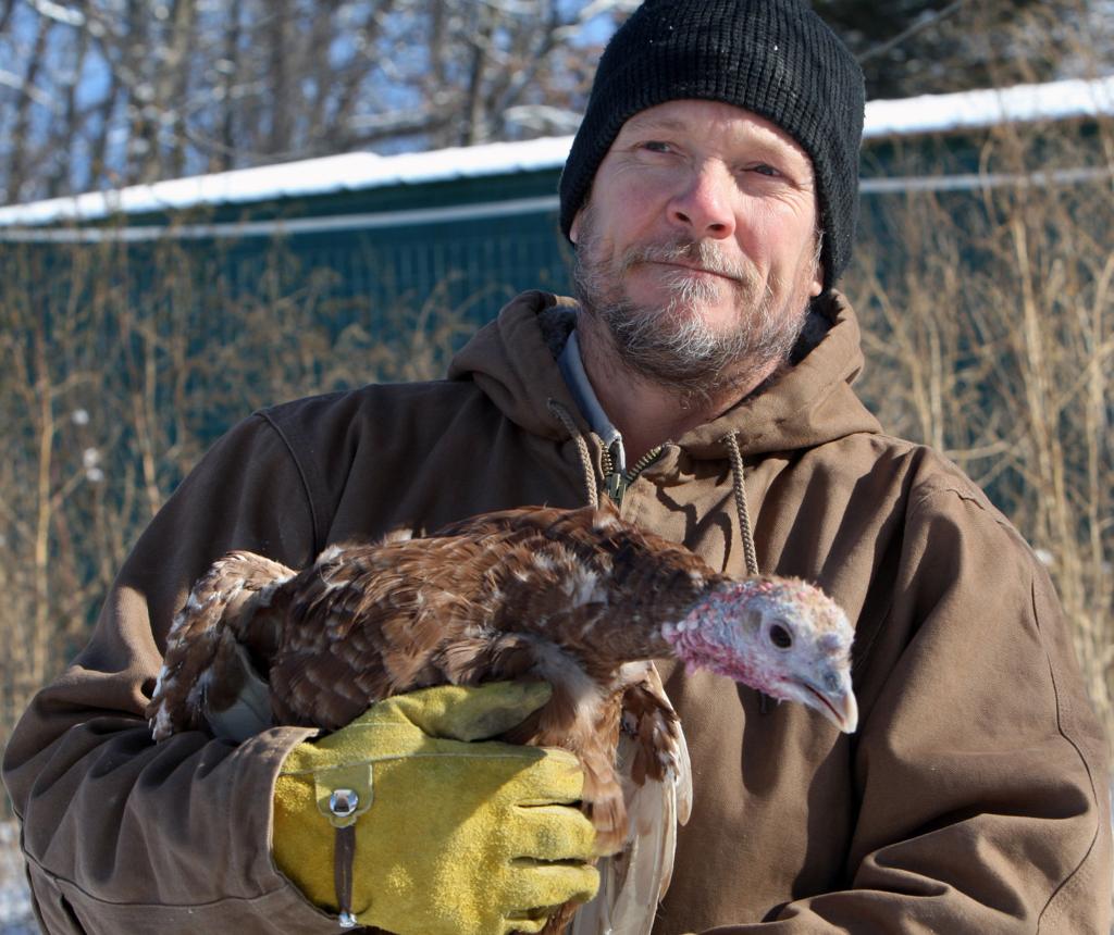 Heritage Turkeys Keep Minnesota Couple In Touch With Land Local