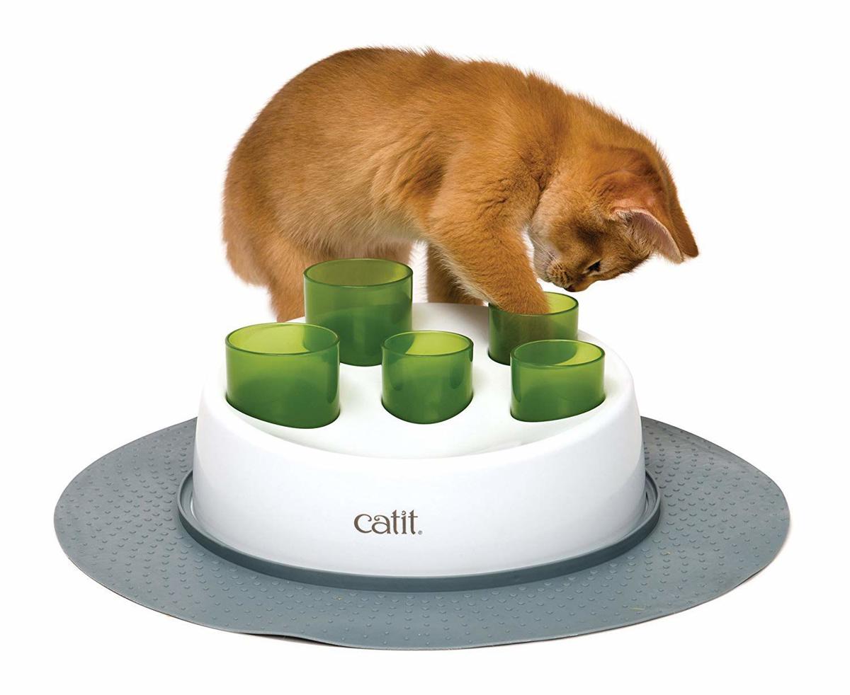 These Interactive Toys Will Keep Your Cat Entertained Pets