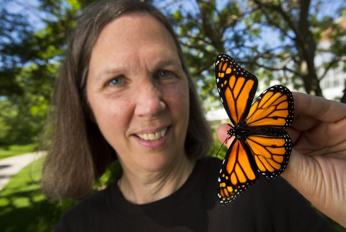 US SCI-BUTTERFLIES-PLANTS MS