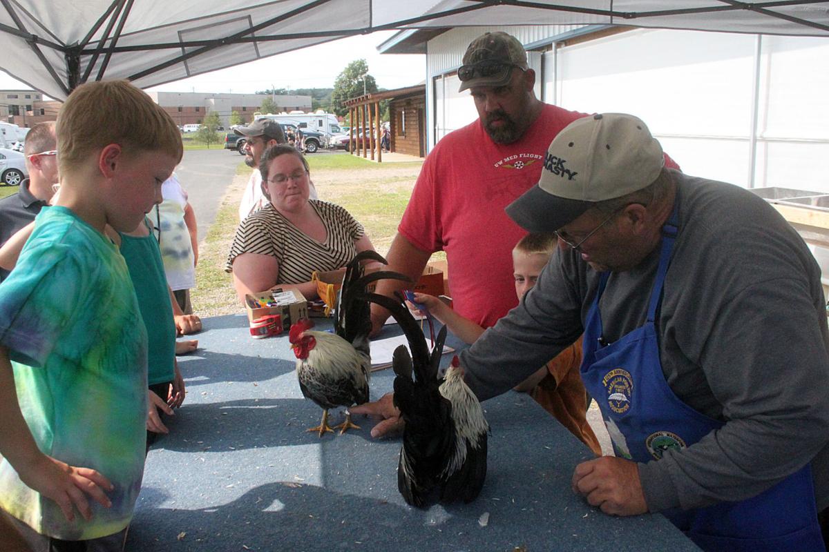 Scenes from the 2017 Jackson County Fair