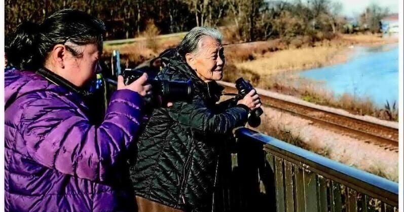 'A very beautiful sight' (Copy)