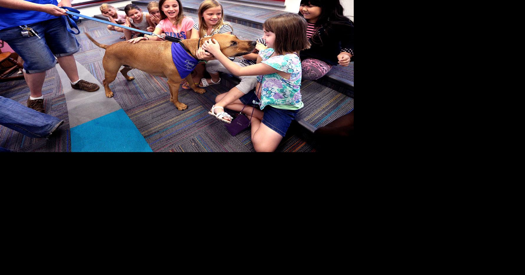 Coulee Region Humane Society program teaches children about caring for pets