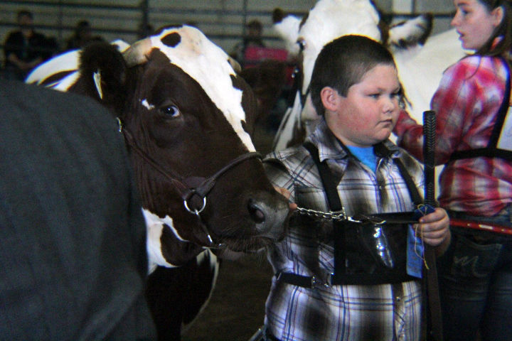 Scenes from the 2017 Jackson County Fair