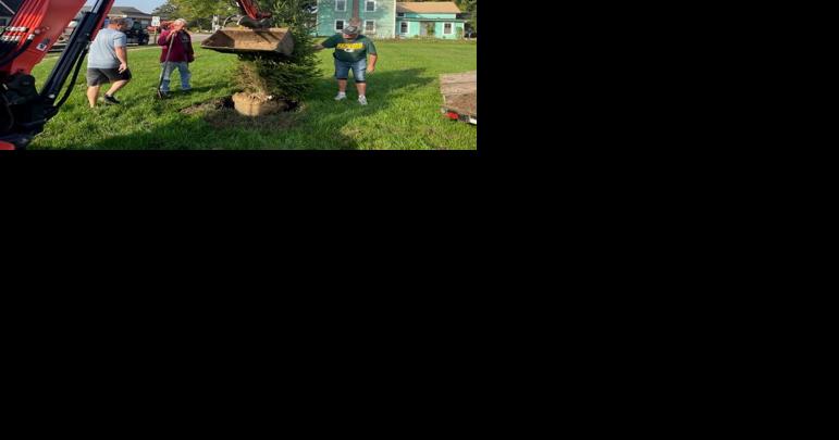 Lions plant tree along Central Avenue in Coon Valley - Vimarsana News