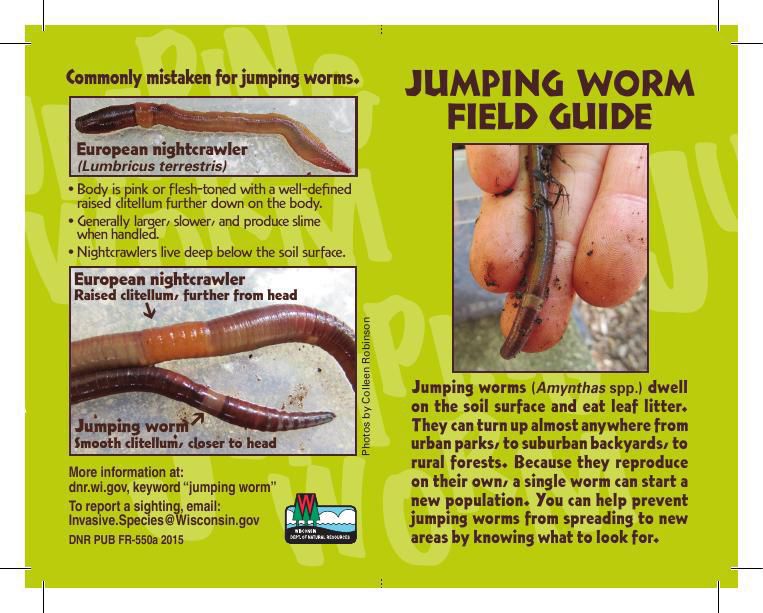 Field guide to jumping worms